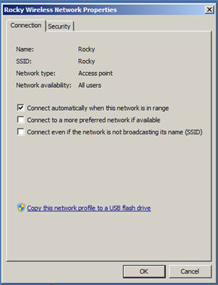 Wireless Network Properties Connection window